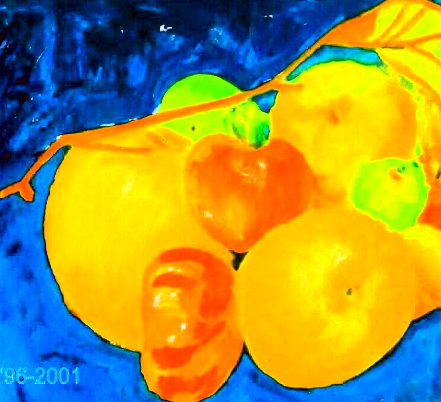 フルーツ 油彩画 (画像は画像処理されています)